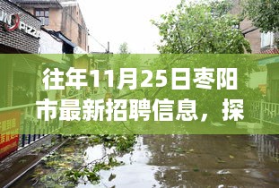 探寻枣阳小巷深处的隐藏宝藏，十一月二十五日最新招聘信息带你走进特色小店招聘季