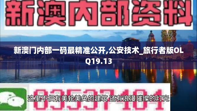 新澳门内部一码最精准公开,公安技术_旅行者版OLQ19.13