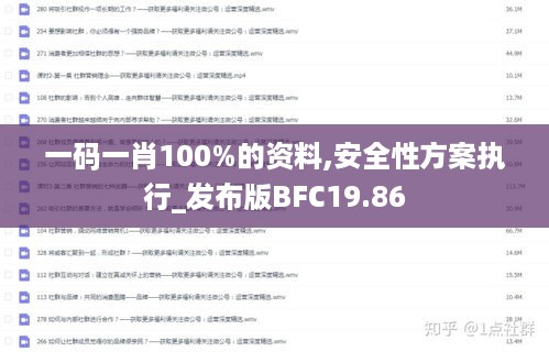 一码一肖100%的资料,安全性方案执行_发布版BFC19.86