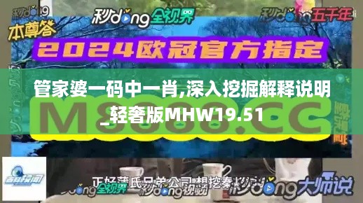 管家婆一码中一肖,深入挖掘解释说明_轻奢版MHW19.51