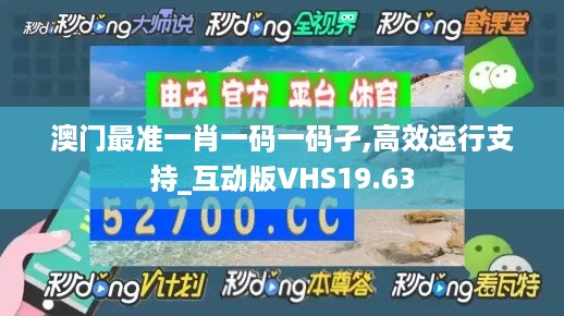 澳门最准一肖一码一码孑,高效运行支持_互动版VHS19.63