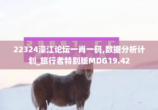 22324濠江论坛一肖一码,数据分析计划_旅行者特别版MDG19.42