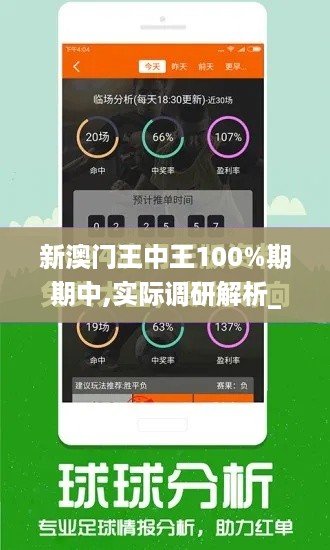 新澳门王中王100%期期中,实际调研解析_轻量版ZRC19.71