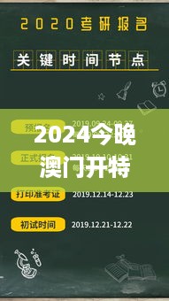 2024今晚澳门开特马,快速问题处理_限定版UJN19.25