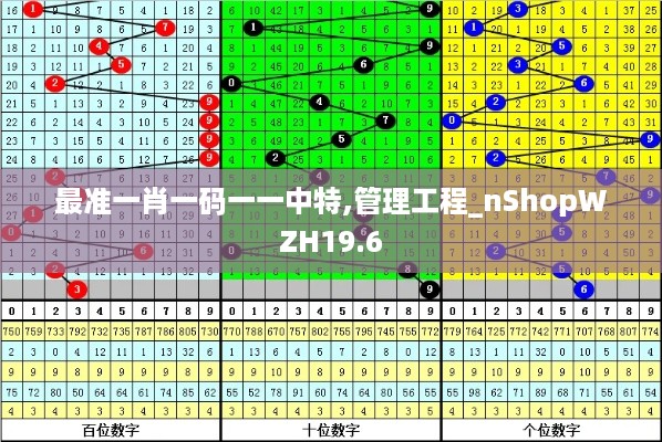 最准一肖一码一一中特,管理工程_nShopWZH19.6