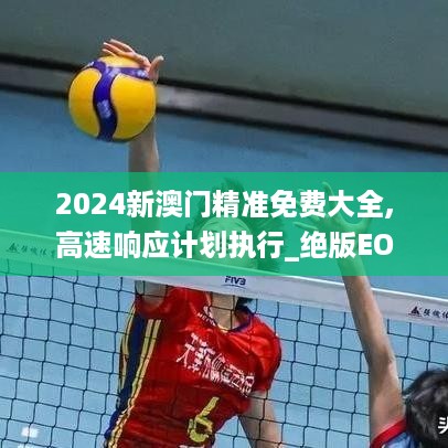 2024新澳门精准免费大全,高速响应计划执行_绝版EOZ19.89