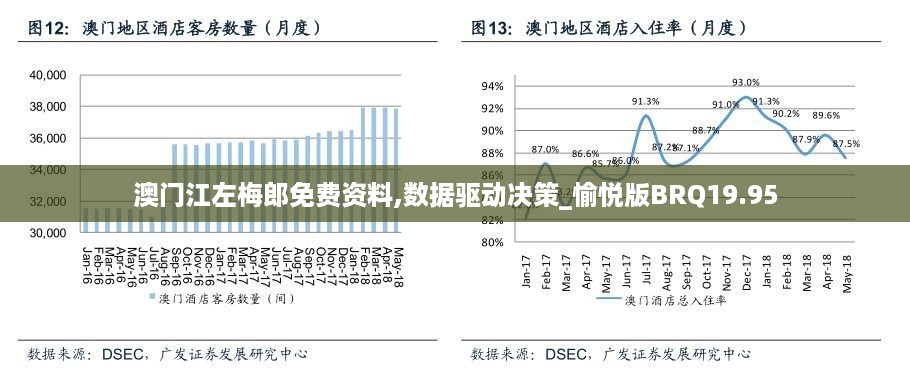 澳门江左梅郎免费资料,数据驱动决策_愉悦版BRQ19.95