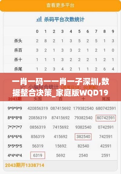 一肖一码一一肖一子深圳,数据整合决策_家庭版WQD19.56