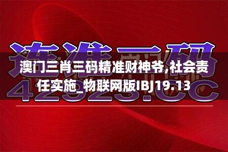 澳门三肖三码精准财神爷,社会责任实施_物联网版IBJ19.13