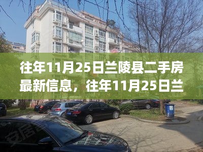 往年11月25日兰陵县二手房市场深度解析与最新房源信息全面评测