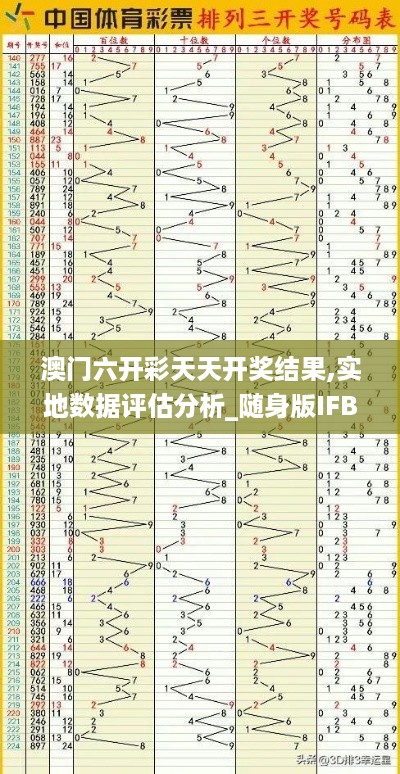 澳门六开彩天天开奖结果,实地数据评估分析_随身版IFB19.99