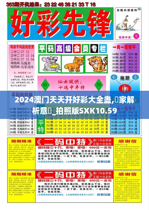 2024澳门天天开好彩大全蛊,專家解析意見_拍照版SXK10.59