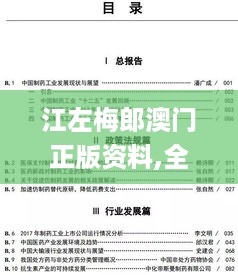 江左梅郎澳门正版资料,全面性解释说明_光辉版UDW19.57