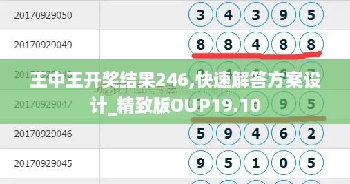 王中王开奖结果246,快速解答方案设计_精致版OUP19.10