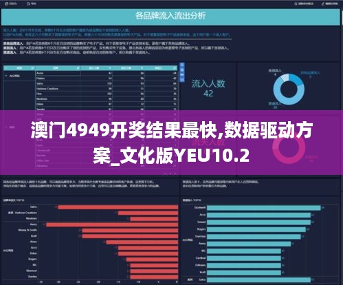 澳门4949开奖结果最快,数据驱动方案_文化版YEU10.2