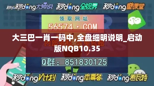 大三巴一肖一码中,全盘细明说明_启动版NQB10.35