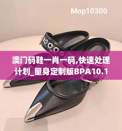 澳门码鞋一肖一码,快速处理计划_量身定制版BPA10.19