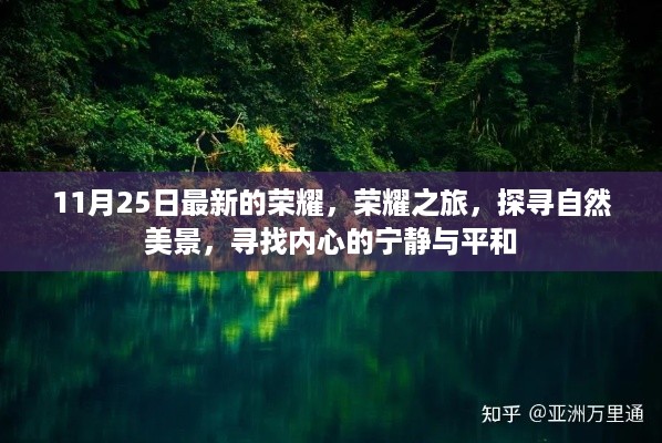 荣耀之旅，探寻自然美景，内心宁静与平和的追寻之旅（11月25日最新篇章）