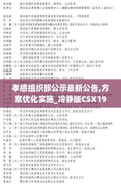 孝感组织部公示最新公告,方案优化实施_冷静版CSX19.50