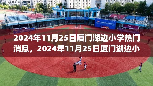 厦门湖边小学最新动态与热议话题揭秘（2024年11月2 5日）