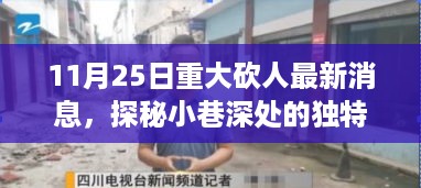 探秘独特小店背后的故事，揭秘11月25日重大砍人事件最新消息