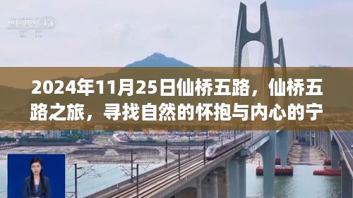 仙桥五路之旅，探寻自然怀抱与内心宁静的旅程（2024年11月25日）