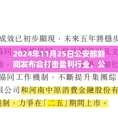 公安部新闻发布会解读打击盈利行业的成效与挑战（2024年11月25日节点）