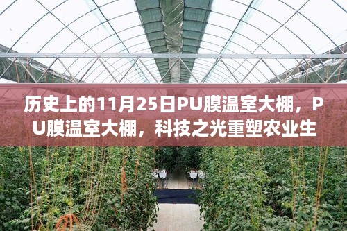 PU膜温室大棚，科技重塑农业生态，开启未来农业新纪元