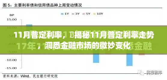 揭秘11月普定利率走势，洞察金融市场微妙变化