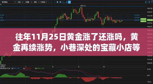 黄金涨势持续，小巷深处的宝藏小店揭秘黄金投资新动向