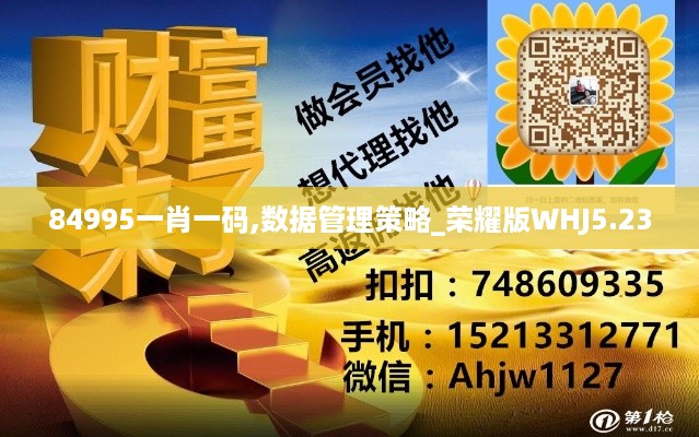 84995一肖一码,数据管理策略_荣耀版WHJ5.23