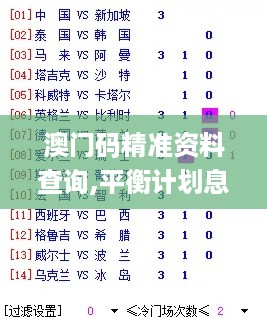 澳门码精准资料查询,平衡计划息法策略_可靠版LDD14.8