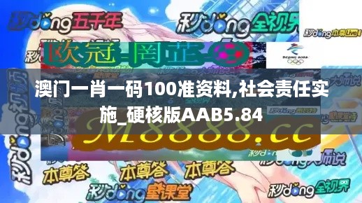 澳门一肖一码100准资料,社会责任实施_硬核版AAB5.84