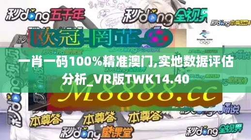 一肖一码100%精准澳门,实地数据评估分析_VR版TWK14.40