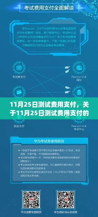 关于11月25日测试费用支付的详细指南与注意事项