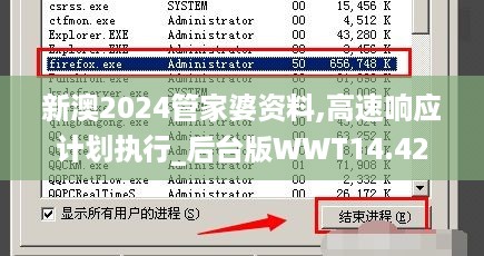 新澳2024管家婆资料,高速响应计划执行_后台版WWT14.42