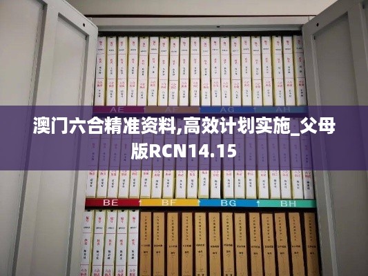 澳门六合精准资料,高效计划实施_父母版RCN14.15