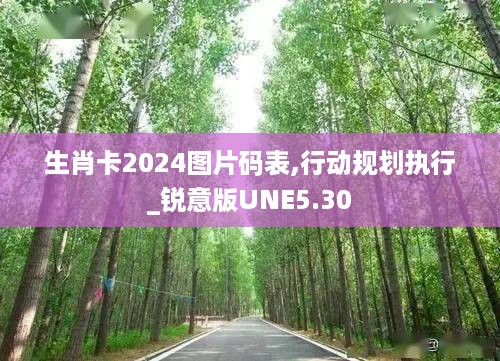 生肖卡2024图片码表,行动规划执行_锐意版UNE5.30