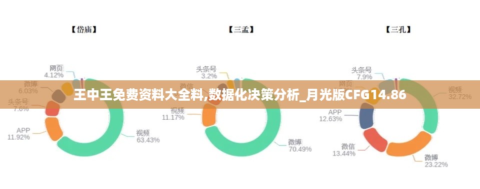 王中王免费资料大全料,数据化决策分析_月光版CFG14.86