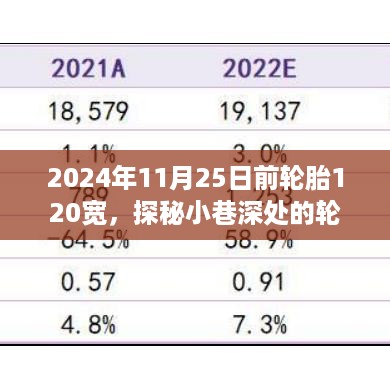 探秘都市褶皱中的独特轮胎店，2024年11月25日前轮胎秘境揭秘