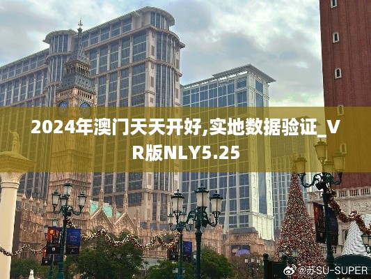 2024年澳门天天开好,实地数据验证_VR版NLY5.25