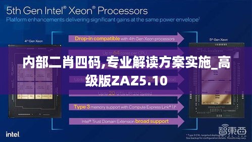 内部二肖四码,专业解读方案实施_高级版ZAZ5.10