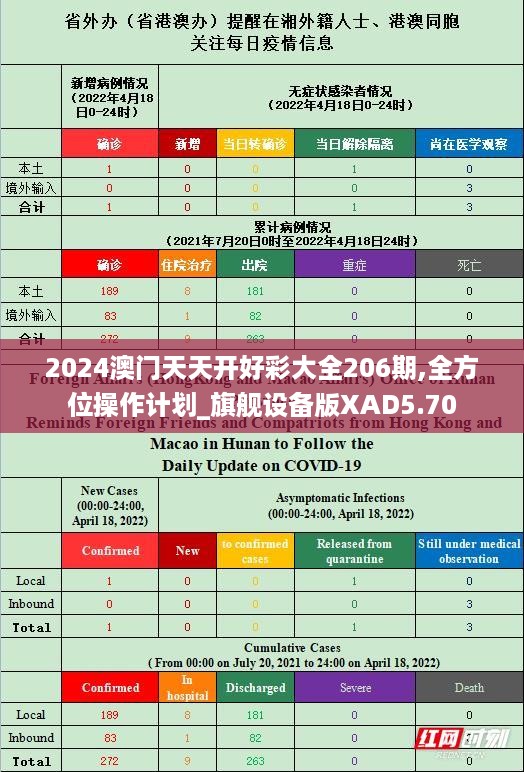 2024澳门天天开好彩大全206期,全方位操作计划_旗舰设备版XAD5.70