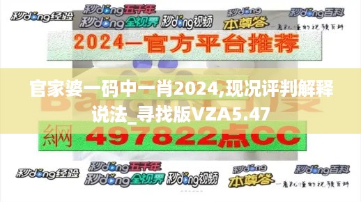 官家婆一码中一肖2024,现况评判解释说法_寻找版VZA5.47