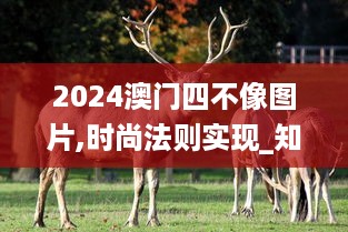 2024澳门四不像图片,时尚法则实现_知识版IUG5.28