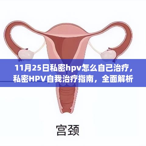 私密HPV自我治疗指南，全面解析产品特性、体验与目标用户群体分析（11月25日）