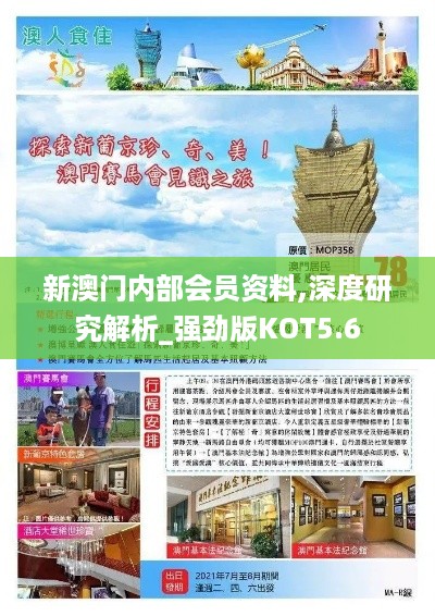 新澳门内部会员资料,深度研究解析_强劲版KOT5.6