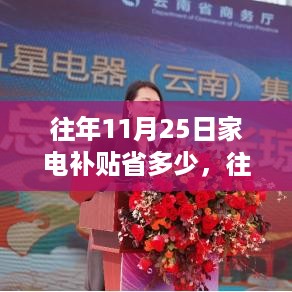 深度解析与案例分享，往年11月25日家电补贴究竟能省多少？