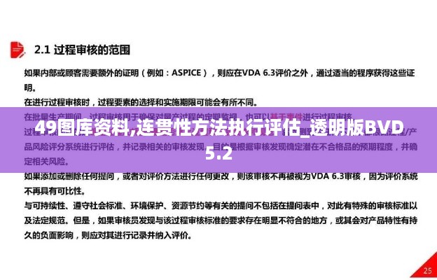 49图库资料,连贯性方法执行评估_透明版BVD5.2