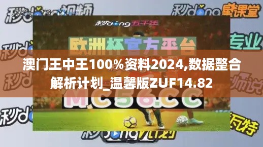 澳门王中王100%资料2024,数据整合解析计划_温馨版ZUF14.82